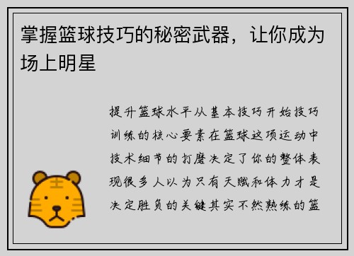 掌握篮球技巧的秘密武器，让你成为场上明星
