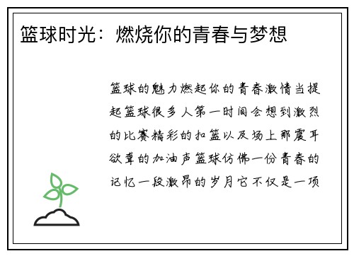篮球时光：燃烧你的青春与梦想